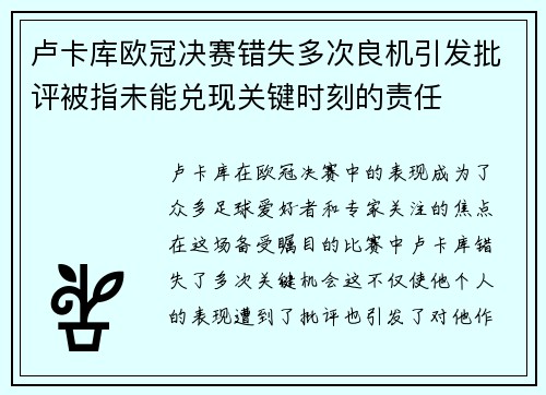 卢卡库欧冠决赛错失多次良机引发批评被指未能兑现关键时刻的责任